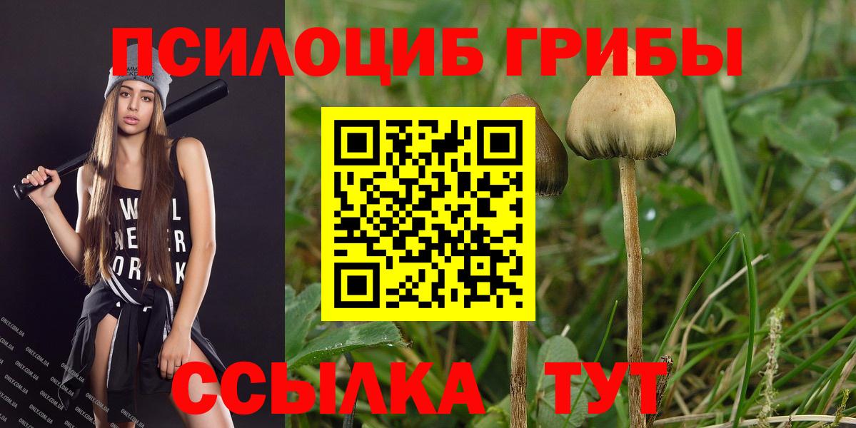 Псилоцибиновые грибы мухоморы  Вход с VPN  Анапа 